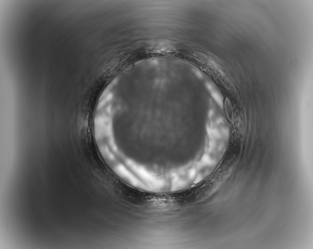 X0000093490415200711020955