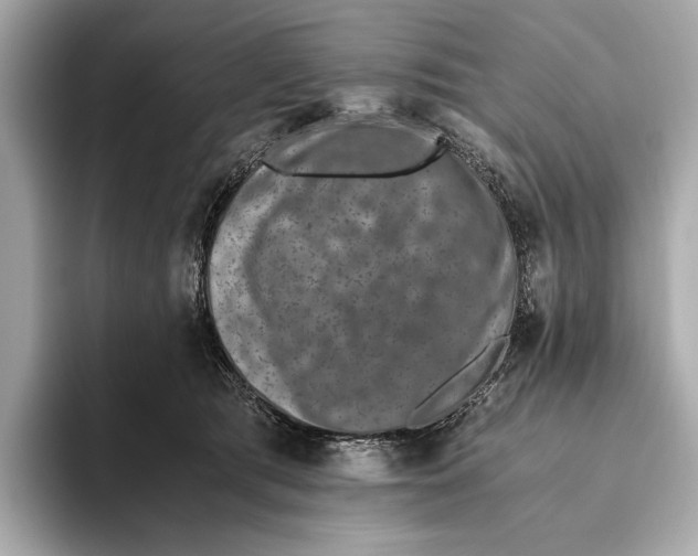 X0000093490417200711020955