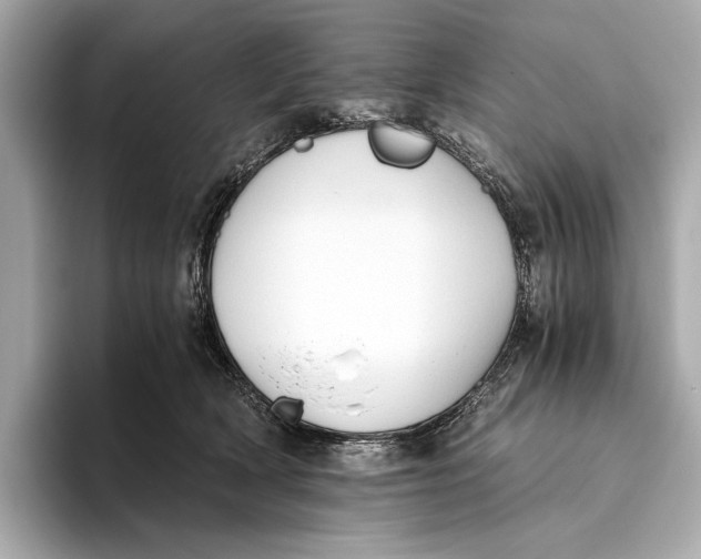 X0000093490418200711020955