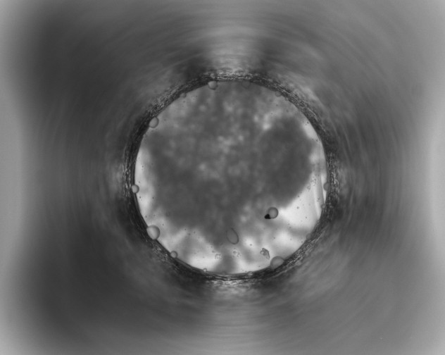 X0000093490419200711020955