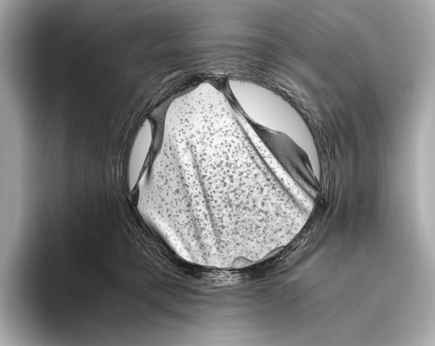 X0000093490421200711020955