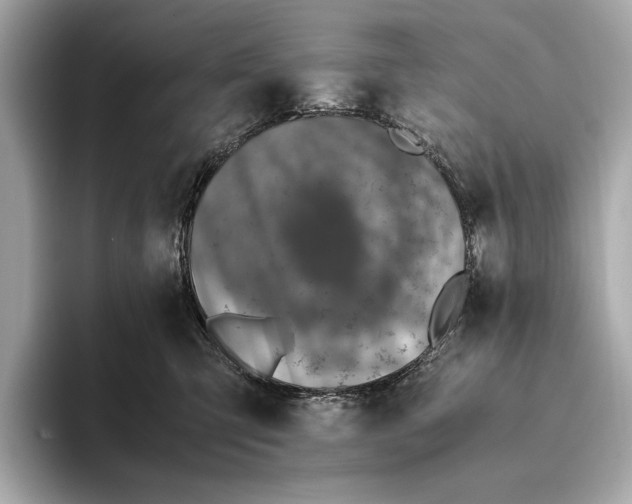 X0000093490423200711020955