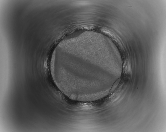 X0000093490424200711020955