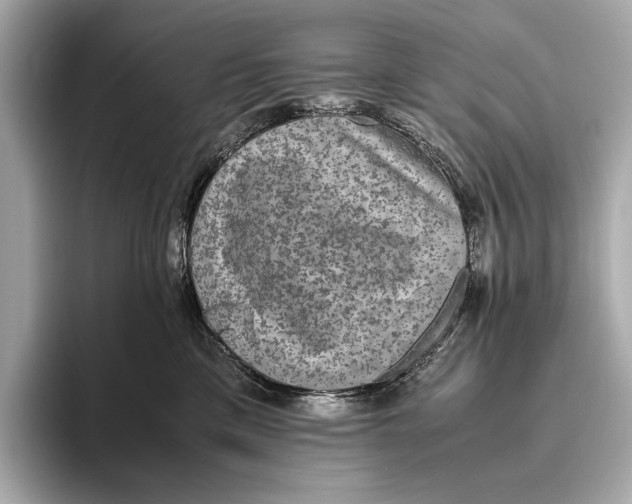 X0000093490425200711020955