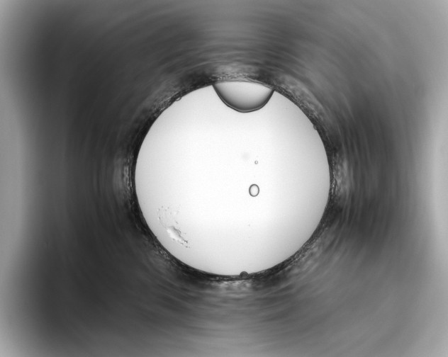 X0000093490426200711020955