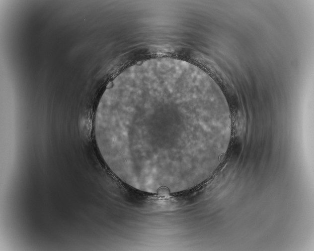 X0000093490427200711020955