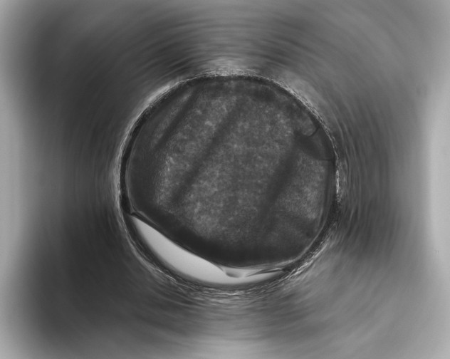 X0000093490438200711020954