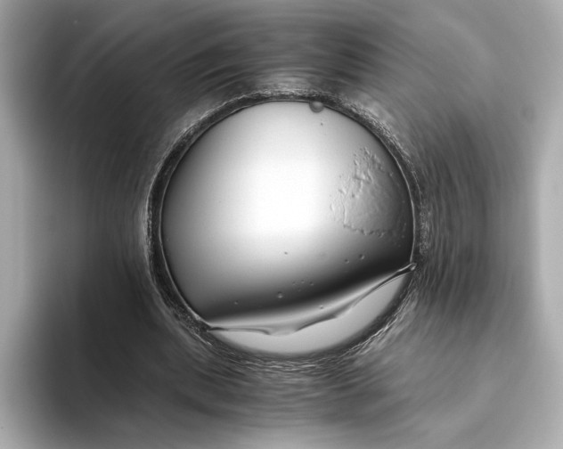 X0000093490439200711020954