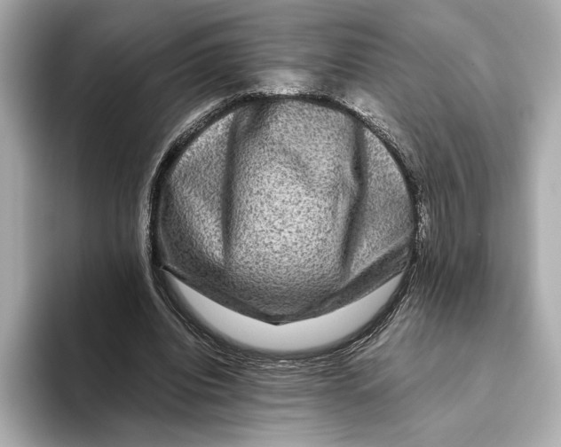 X0000093490440200711020954