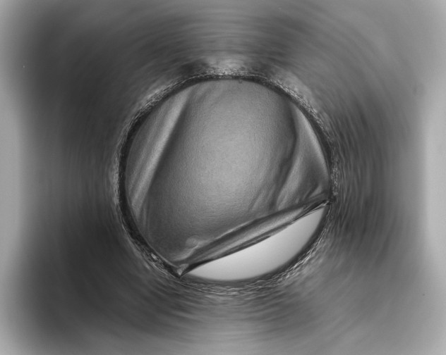 X0000093490442200711020954