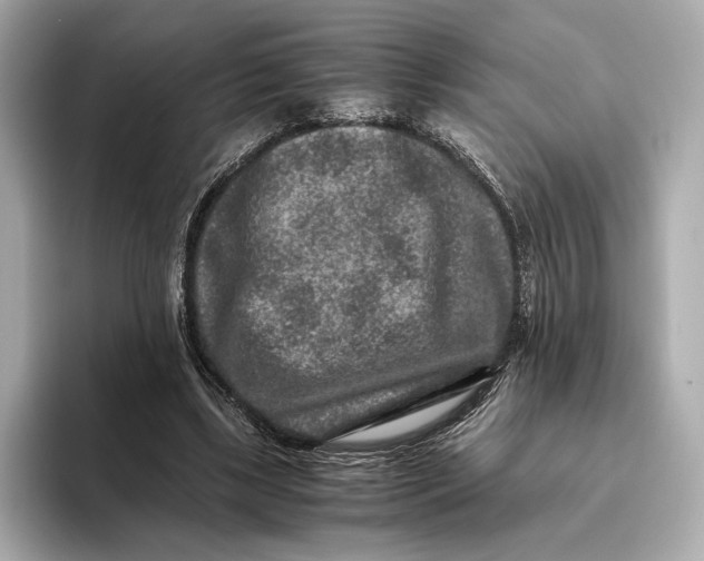 X0000093490443200711020954