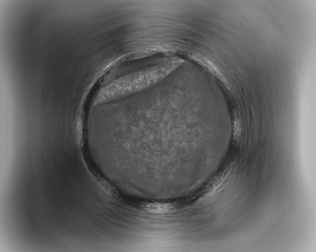 X0000093490444200711020954