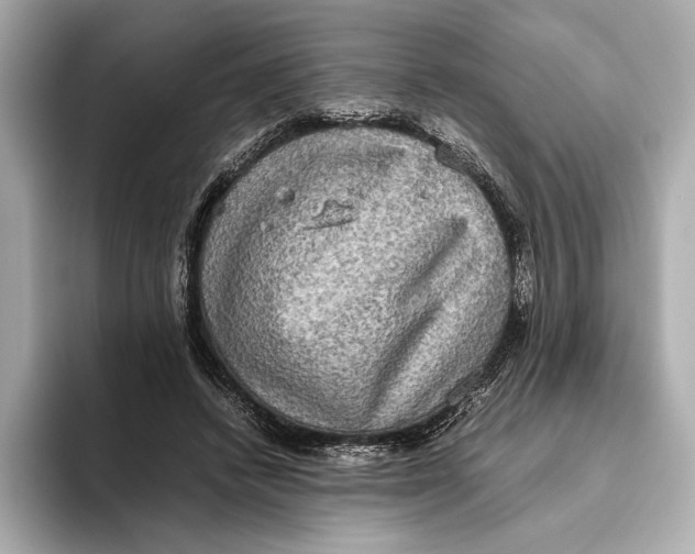 X0000093490448200711020955