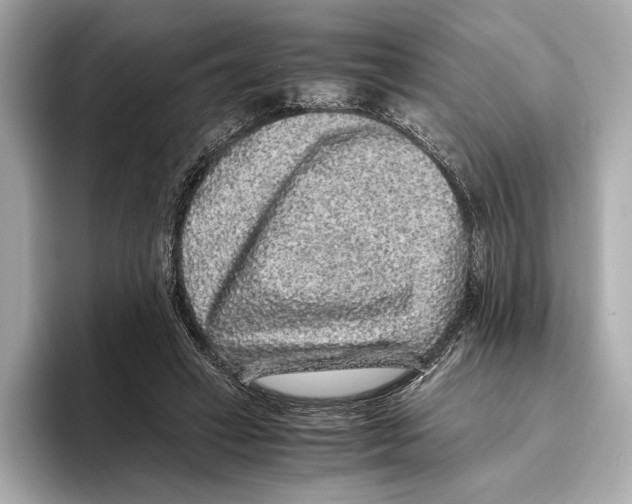 X0000093490449200711020955