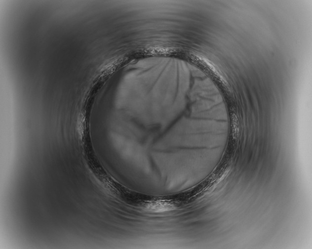 X0000093490451200711020955