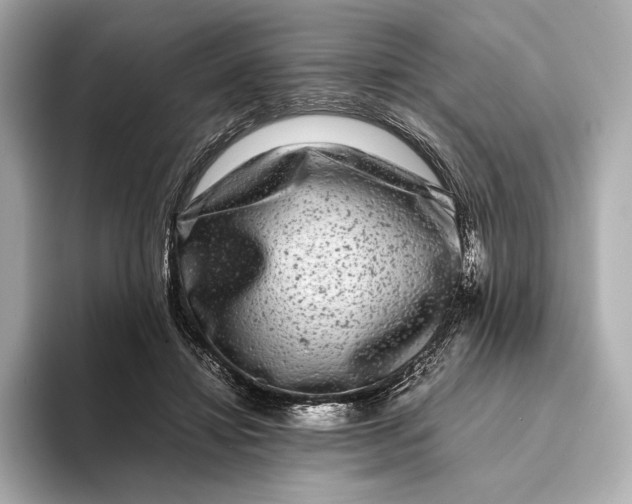 X0000093490452200711020955