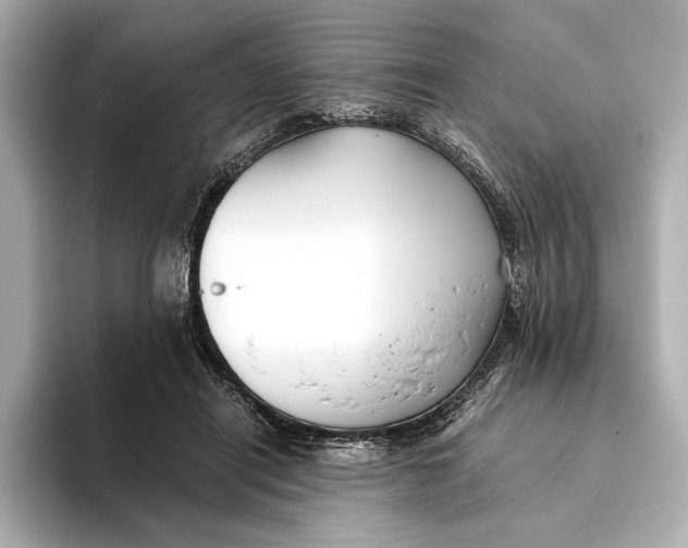 X0000093490454200711020955