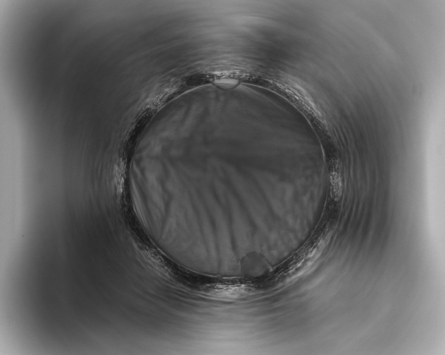 X0000093490458200711020955