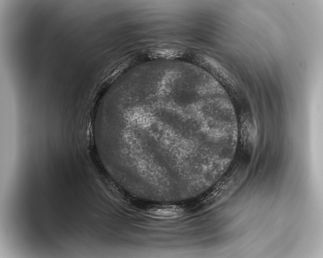 X0000093490459200711020955