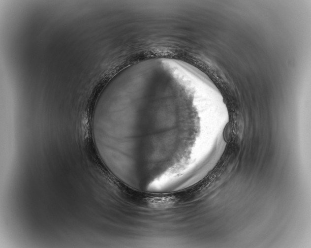 X0000093490465200711020955