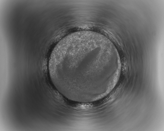 X0000093490466200711020955