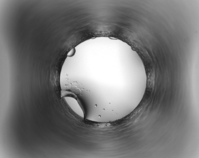 X0000093490474200711020955