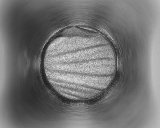 X0000093490483200711020954