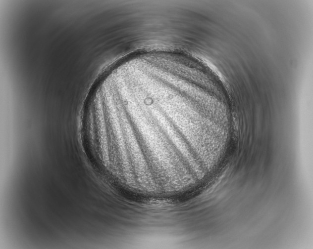 X0000093490487200711020954