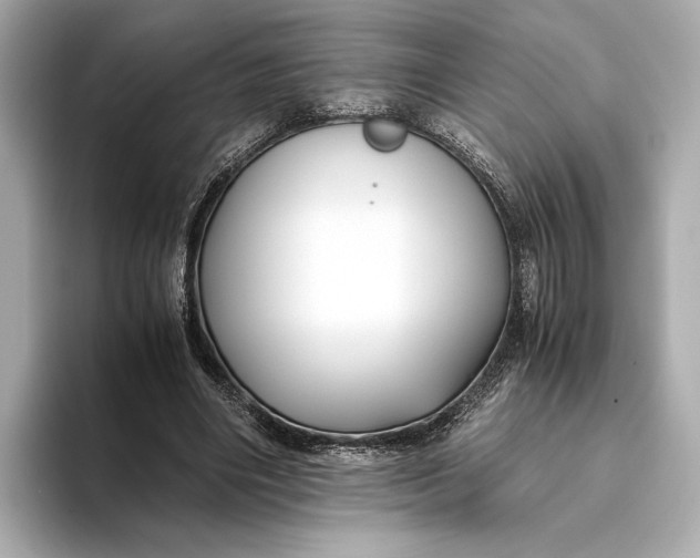 X0000093490490200711020954