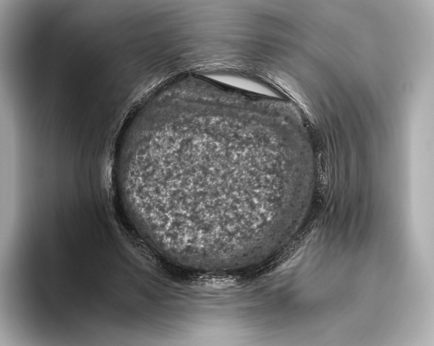 X0000093490491200711020954