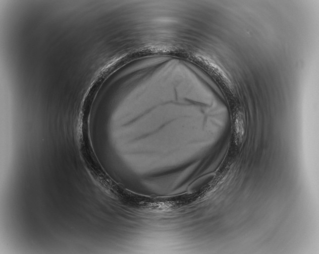 X0000093490492200711020954