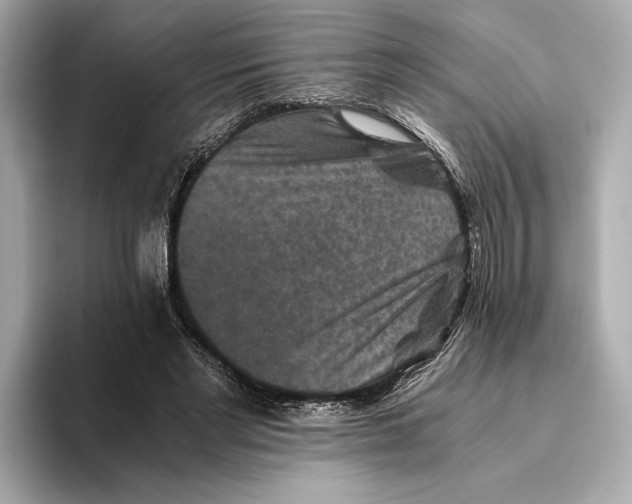 X0000093490493200711020954