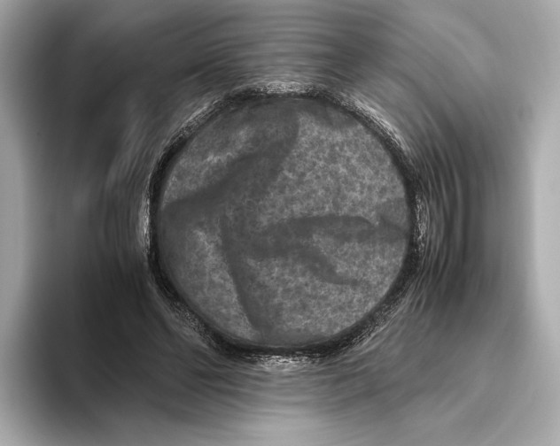 X0000093490494200711020954