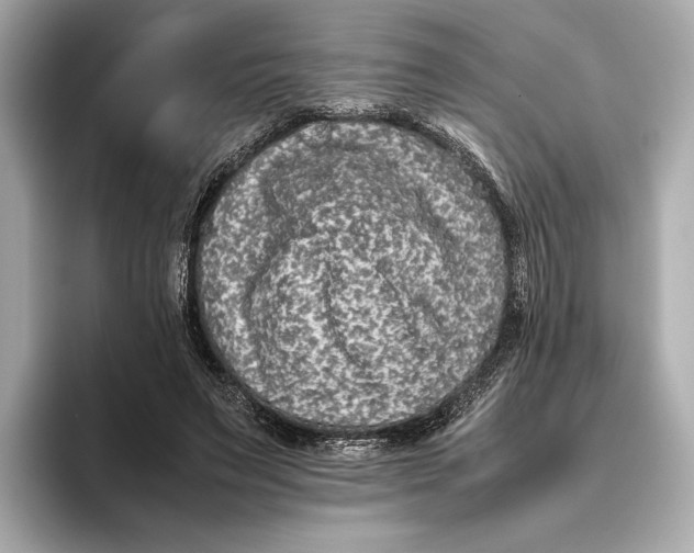 X0000093490495200711020954