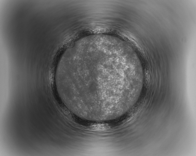 X0000093490499200711020954