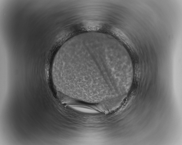 X0000093490501200711020954