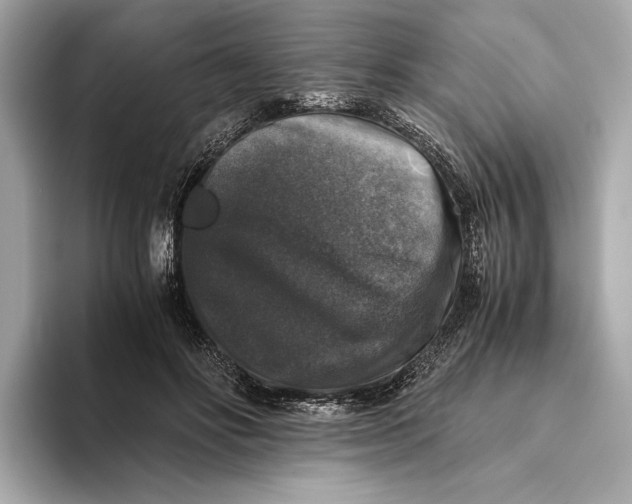 X0000093490502200711020954