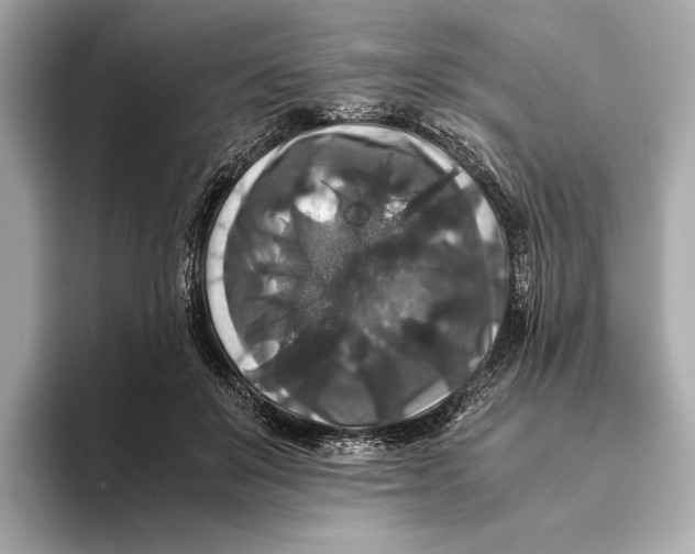 X0000093490503200711020954