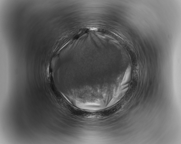 X0000093490504200711020954