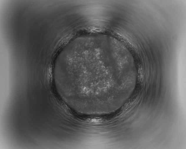 X0000093490506200711020954