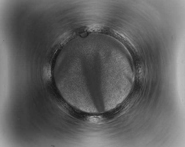 X0000093490508200711020954