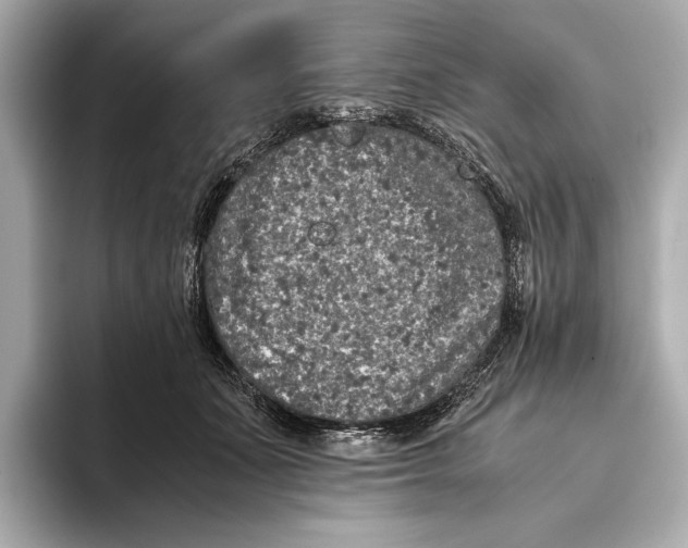 X0000093490511200711020954