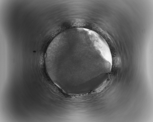 X0000093490517200711020954