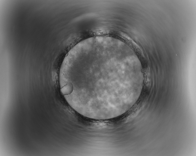 X0000093490523200711020954