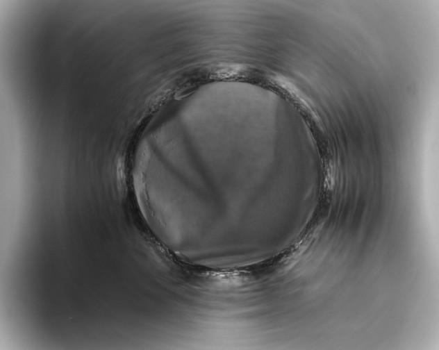 X0000093490524200711020954