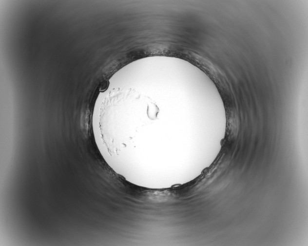 X0000093490525200711020954