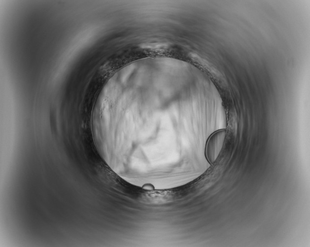 X0000093490526200711020954