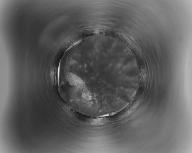 X0000093490527200711020954