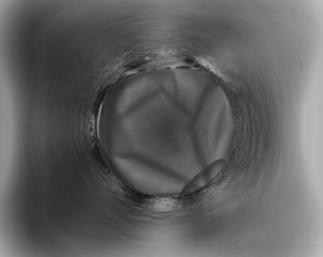 X0000093490528200711020954