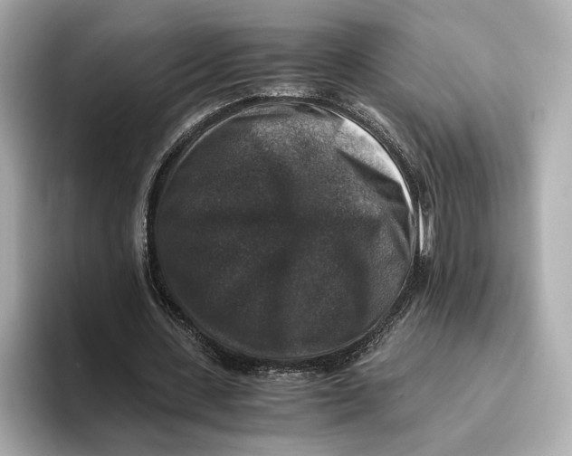 X0000093490531200711020953